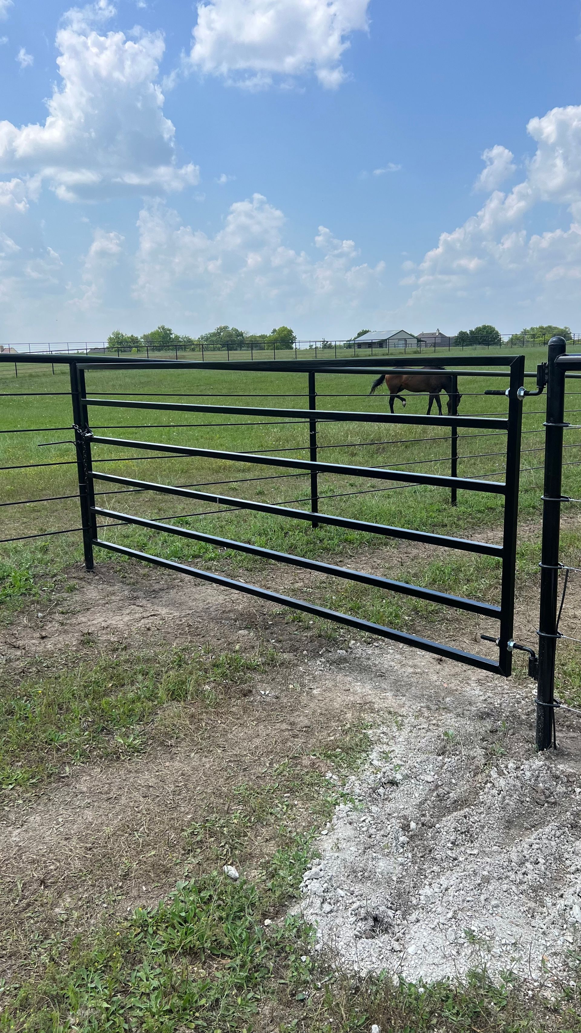 A horse is standing in a field behind a gate.