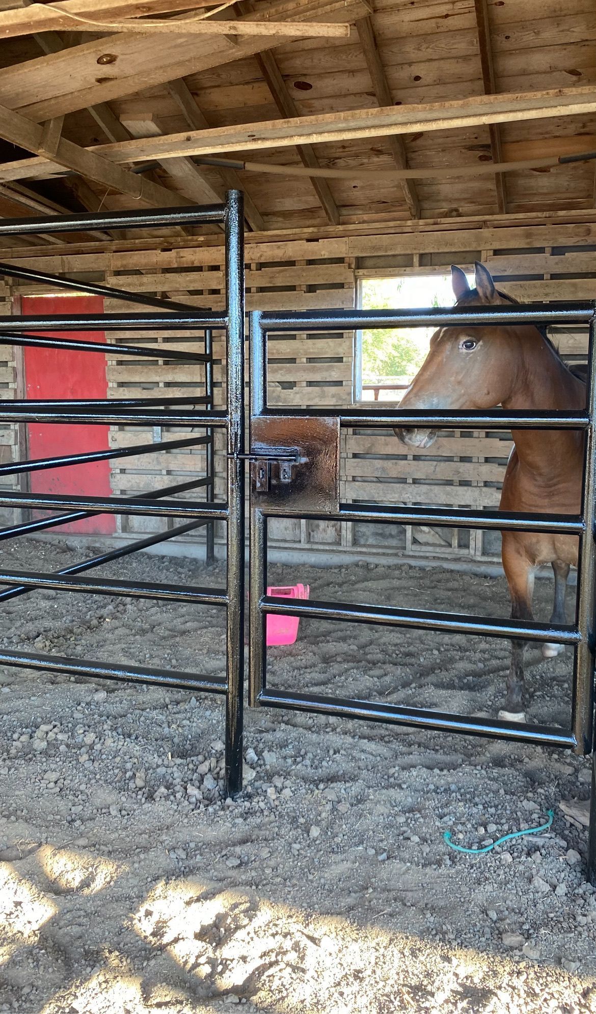 A horse is standing in a fenced in area in a barn.