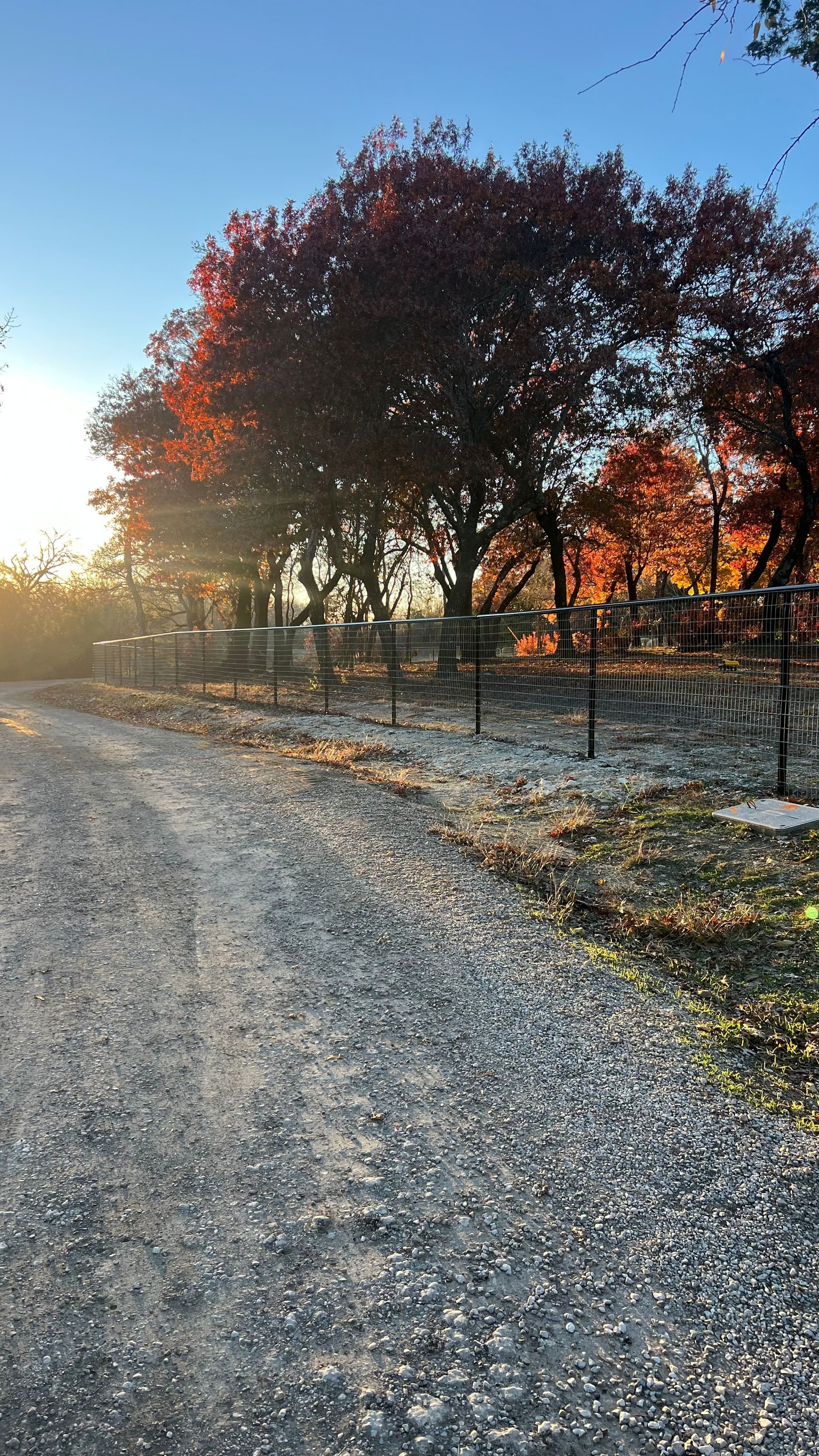 A gravel road with trees on the side of it and the sun shining through the trees.