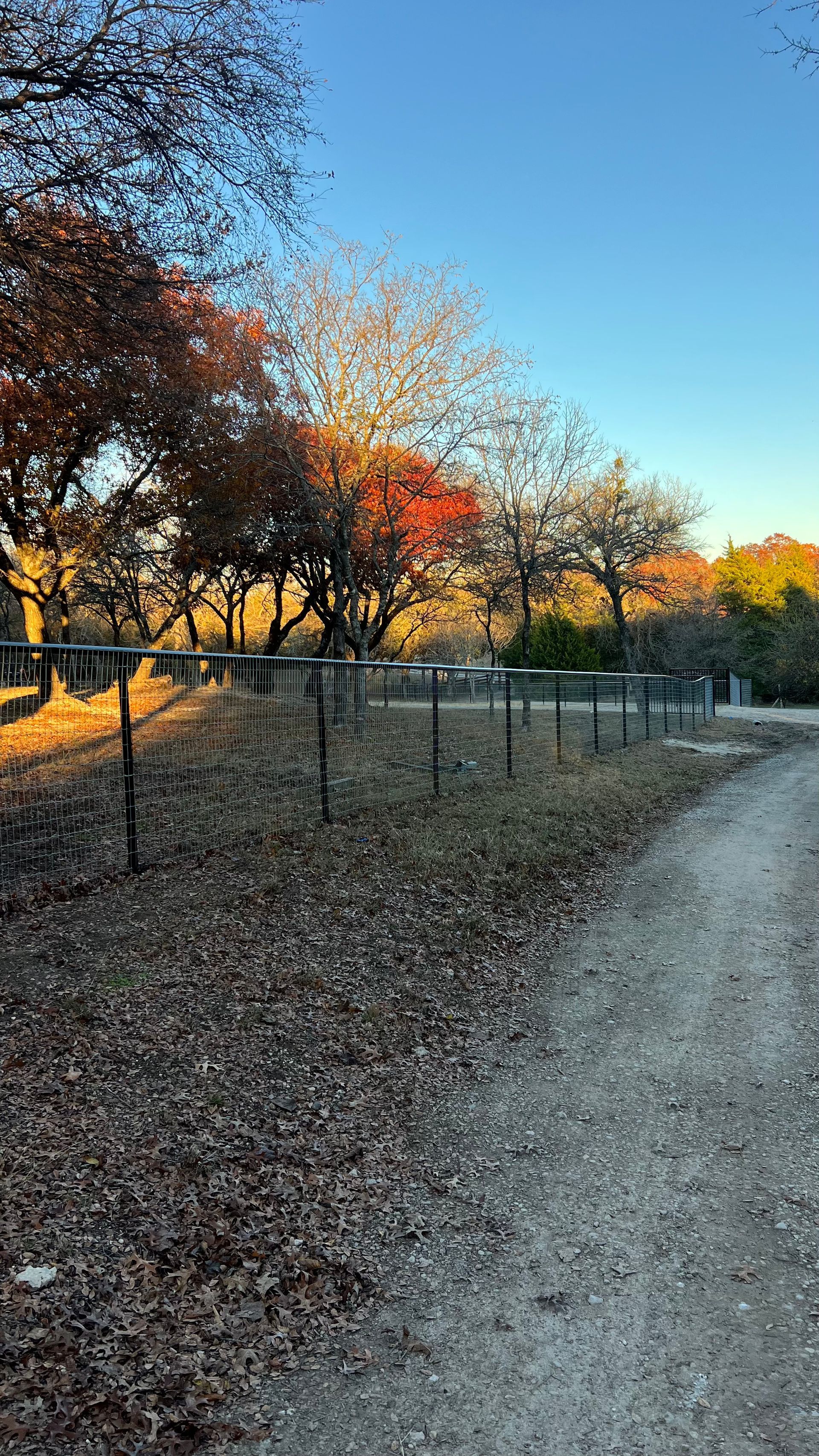 A dirt road going through a park with trees and leaves on the ground.