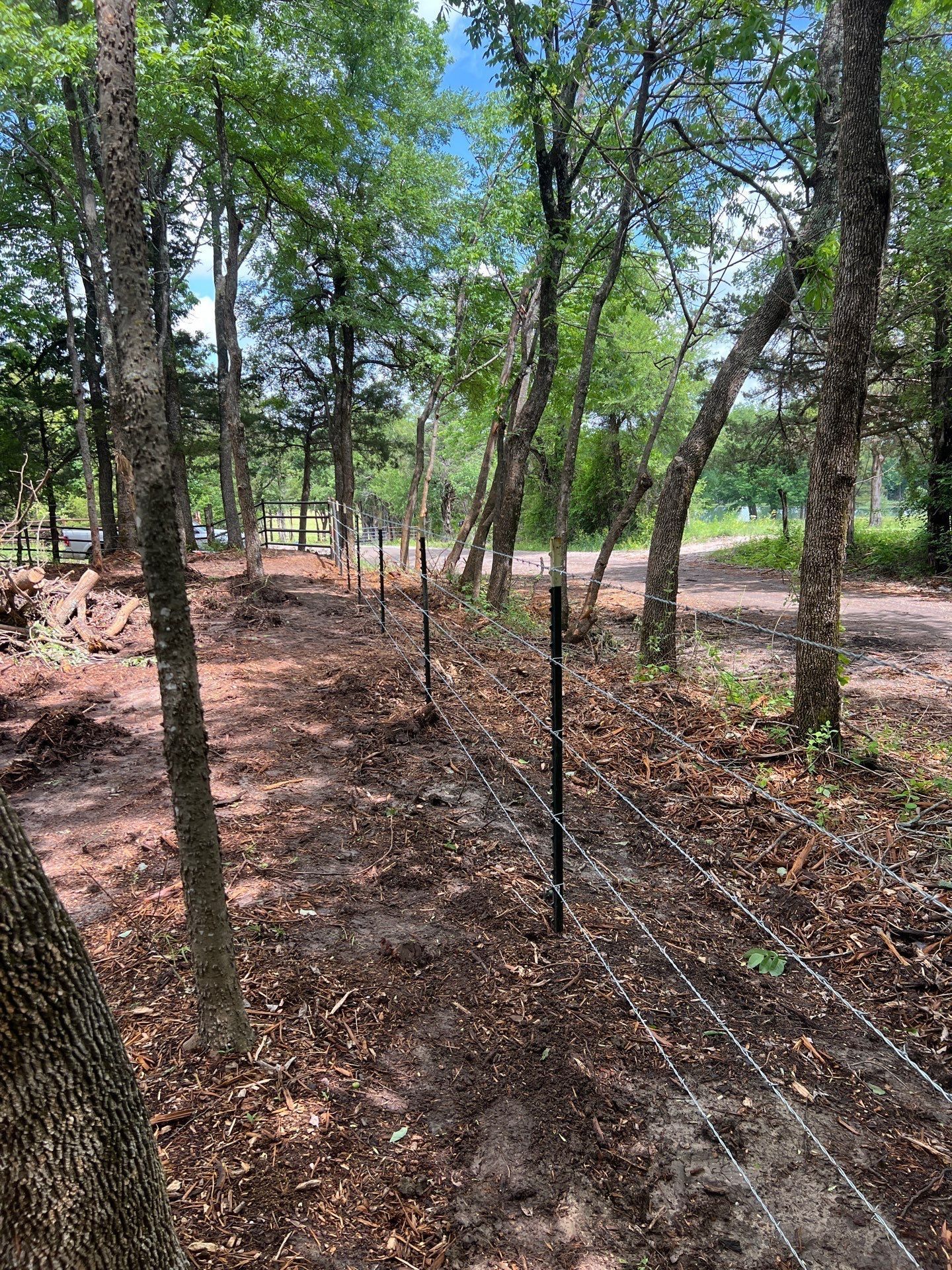 There is a fence in the middle of the woods.