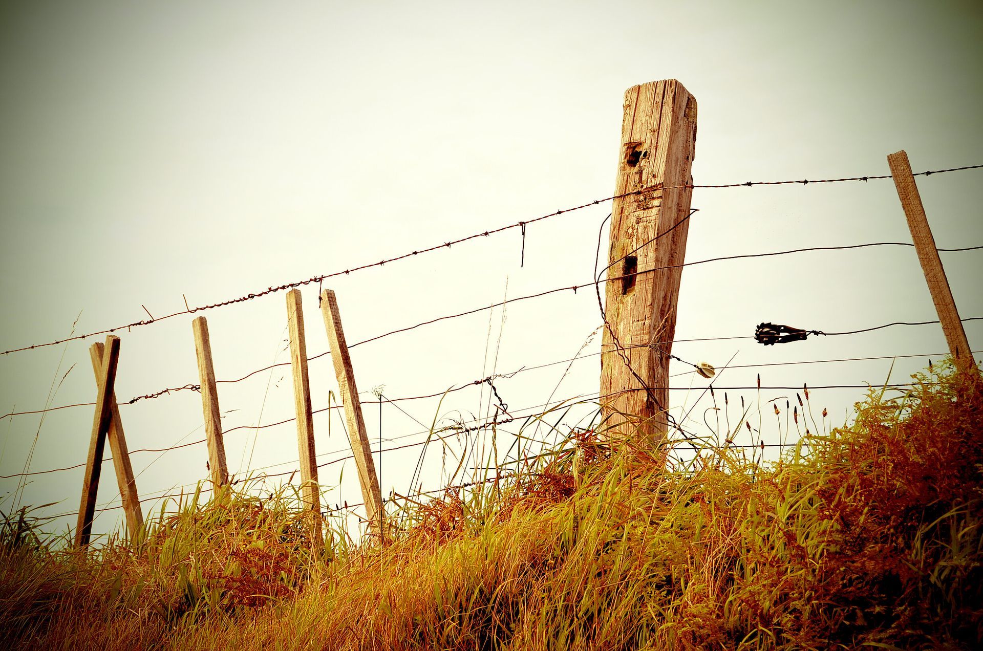 A barbed wire fence surrounds a grassy hillside
