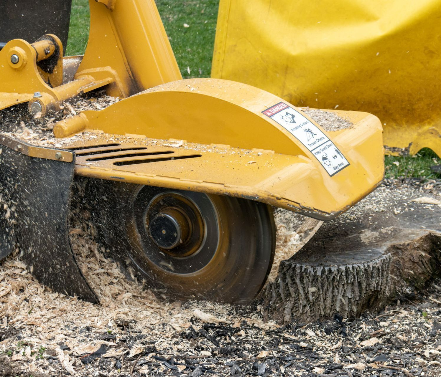 An image of Stump Grinding Services in Avon, CT
