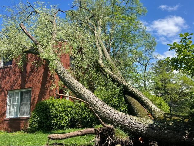 storm damage