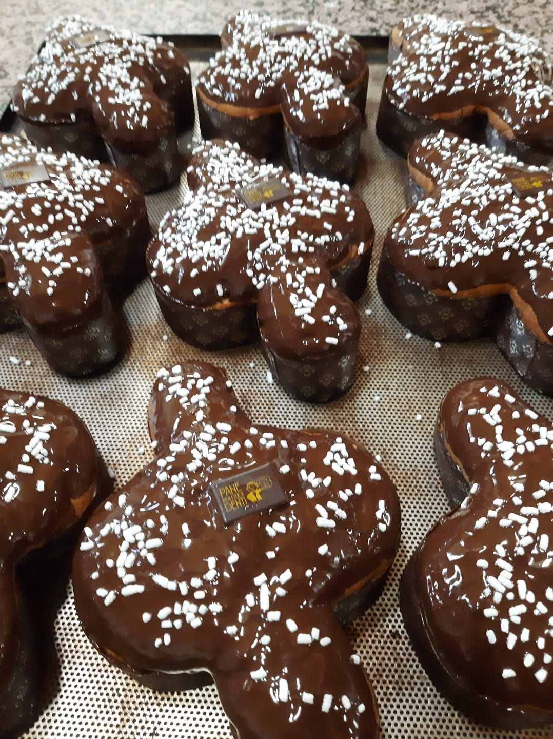 colomba pasquale 2025
Pasqua 2025