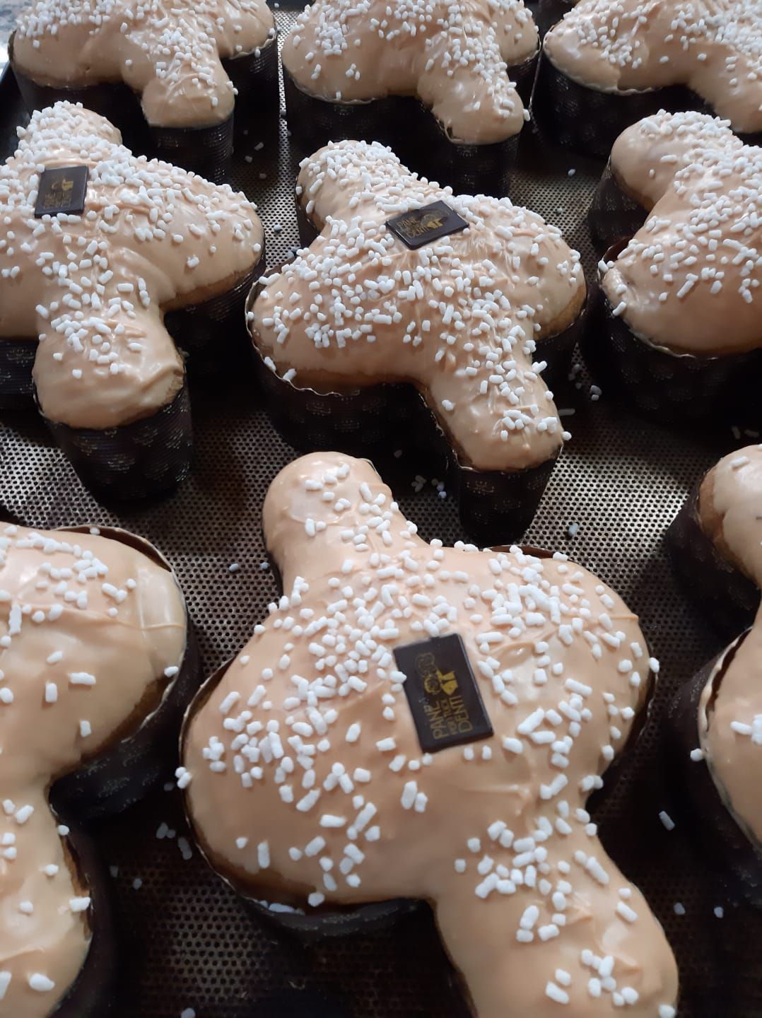 colomba pasquale 2025
Pasqua 2025