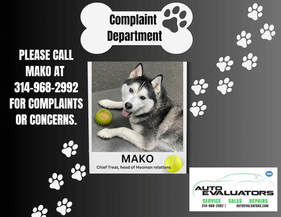complaint | Auto Evaluators Inc