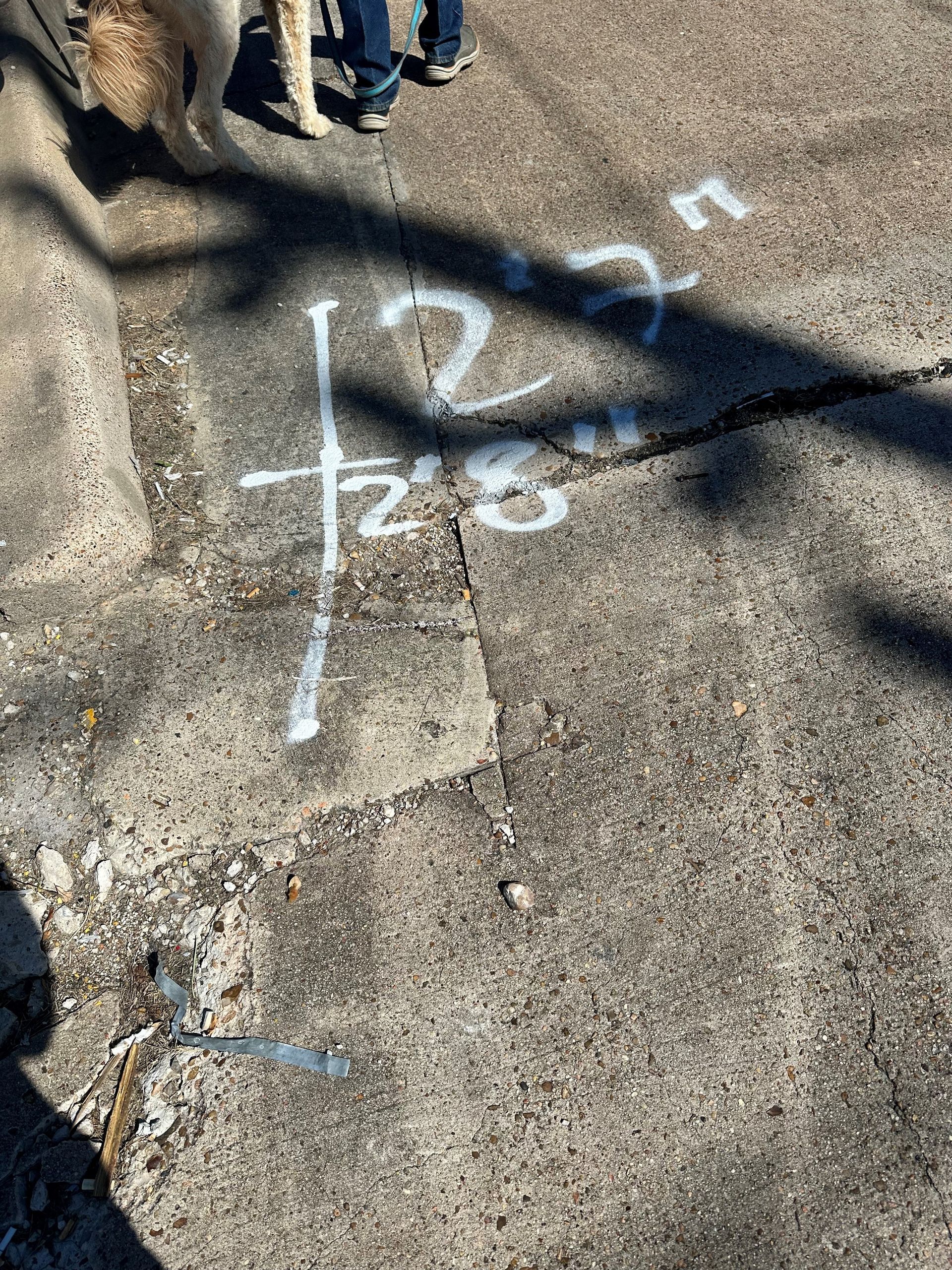 A person is standing next to a dog on a sidewalk.