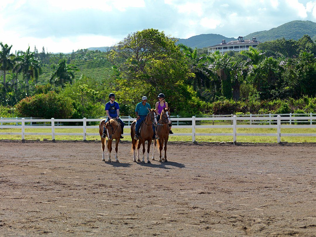 Horseback Riding