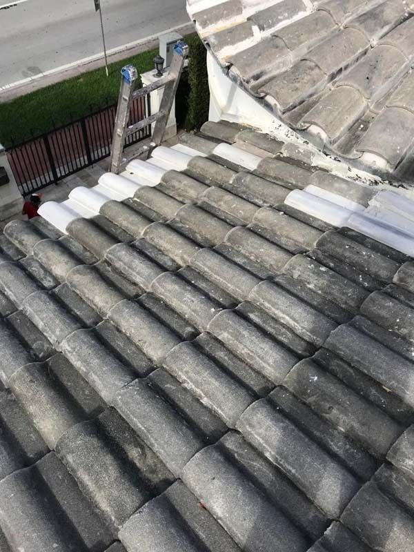A view of a grey concrete tile roof with a white-painted edge near a ladder, showing a transition between old and new paint.