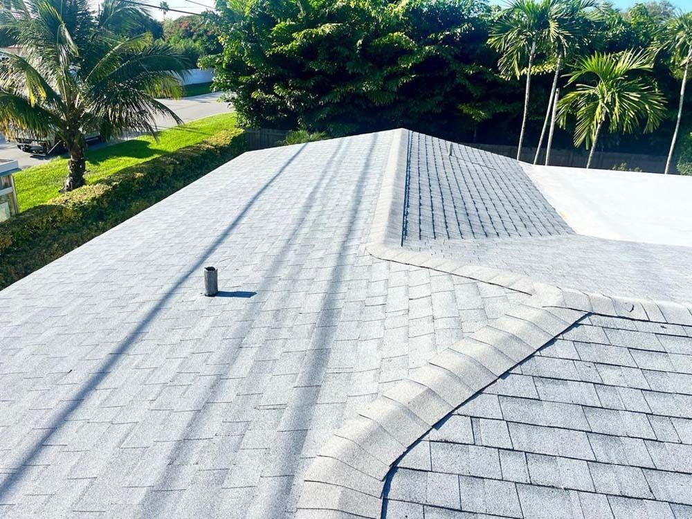 An elevated view of a gray shingled roof with a vent pipe, set against a backdrop of green palm trees and foliage.