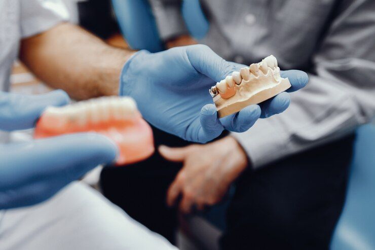 A dentist is holding a model of a person's teeth.