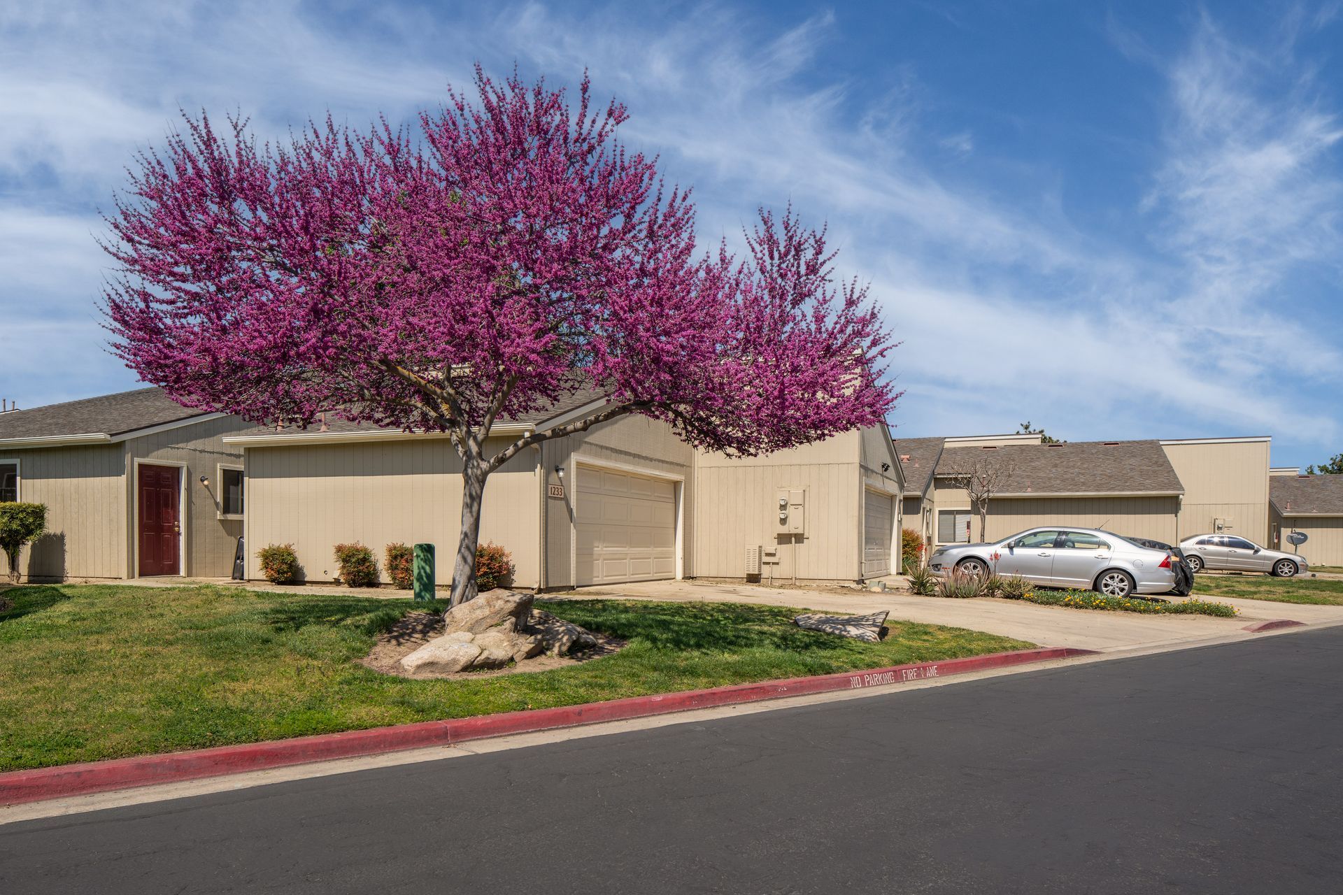 Houses with a vibrant pink-flowering tree in front. Blue sky with white clouds above.