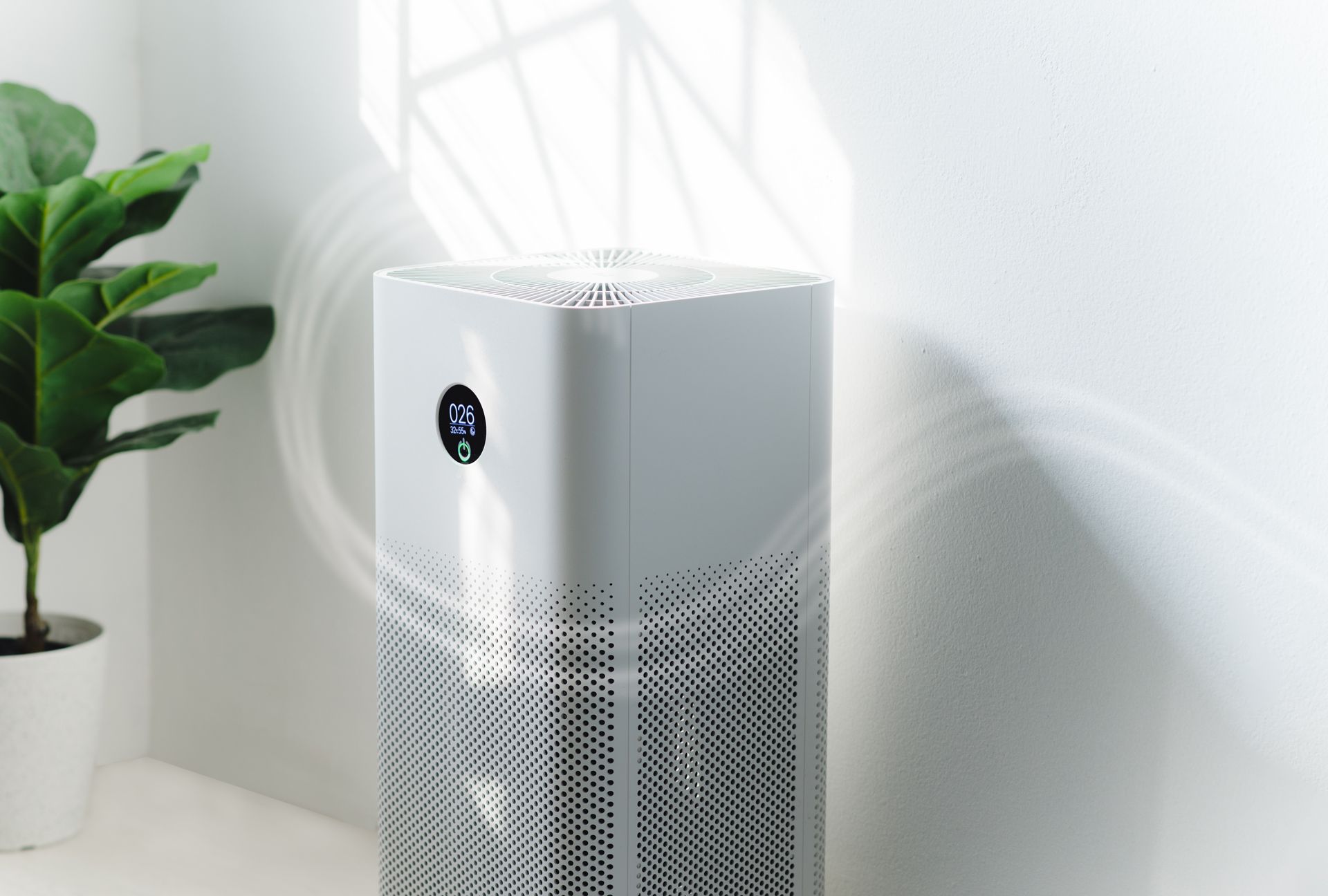 Air Purifier in Living Room