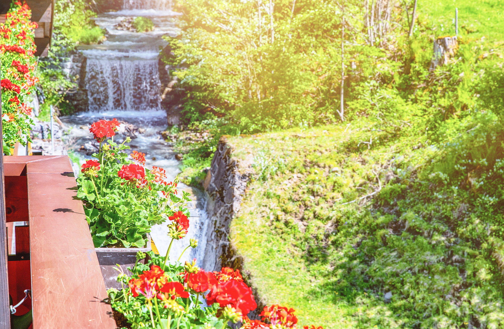 Canal de jardin ensoleillé avec une petite cascade, des fleurs rouges et des arbustes d'un vert luxuriant.