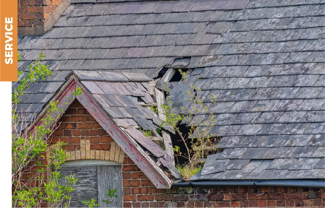 A roof with a hole in it and a tree growing out of it.