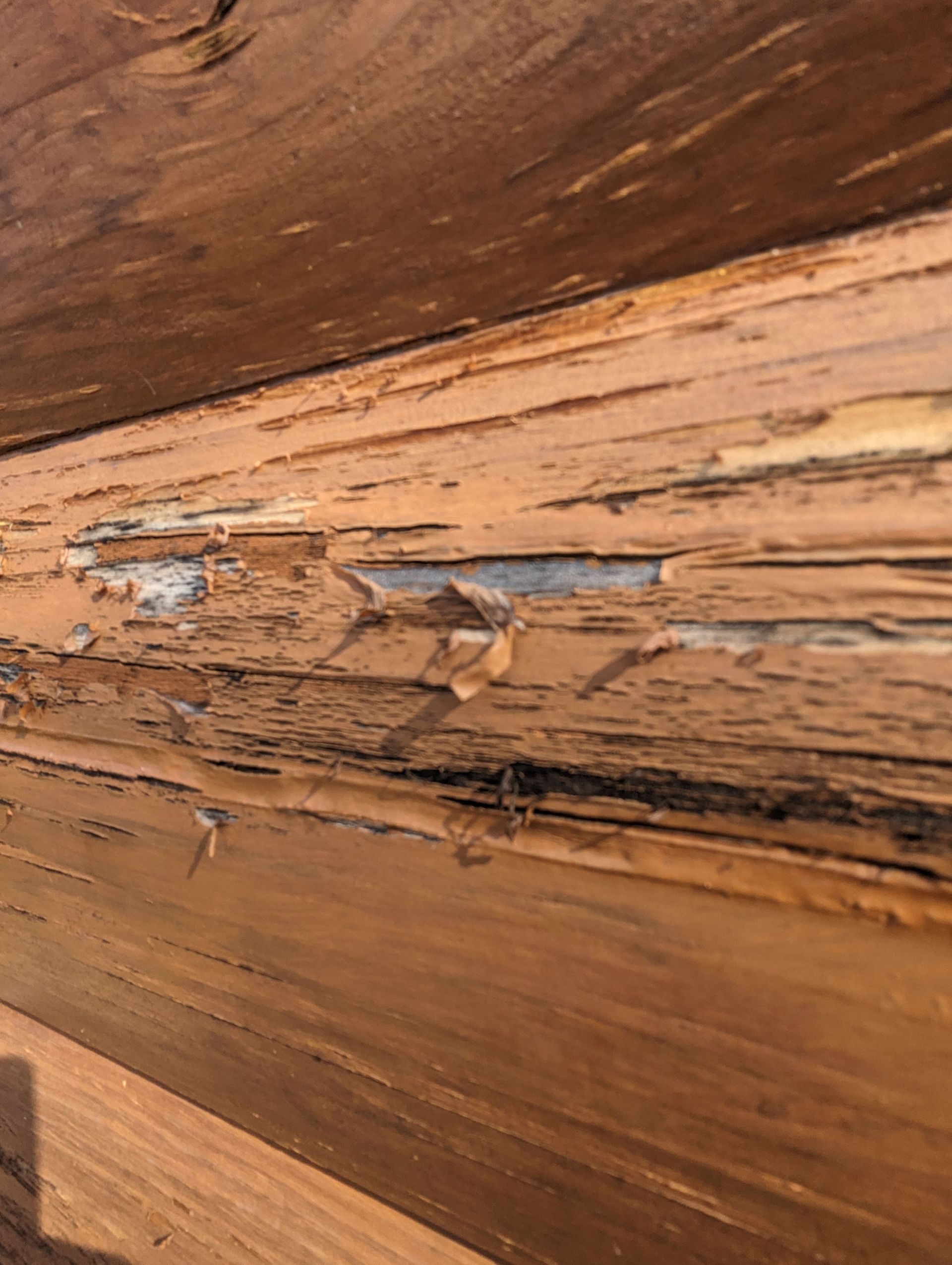 Log Cabin knowledge