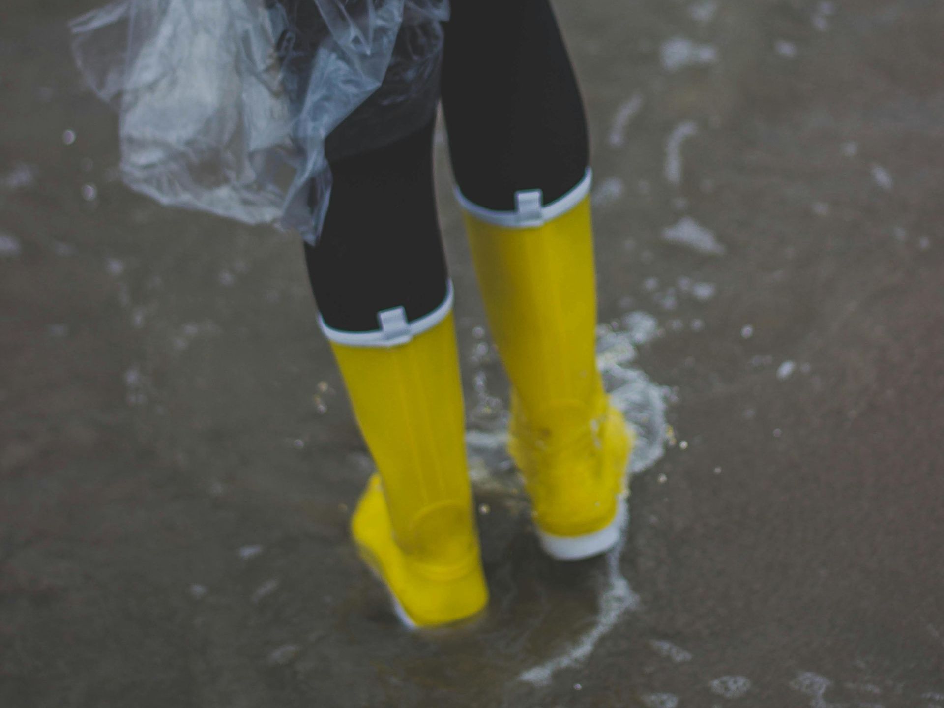 Flood Restoration for Cabins