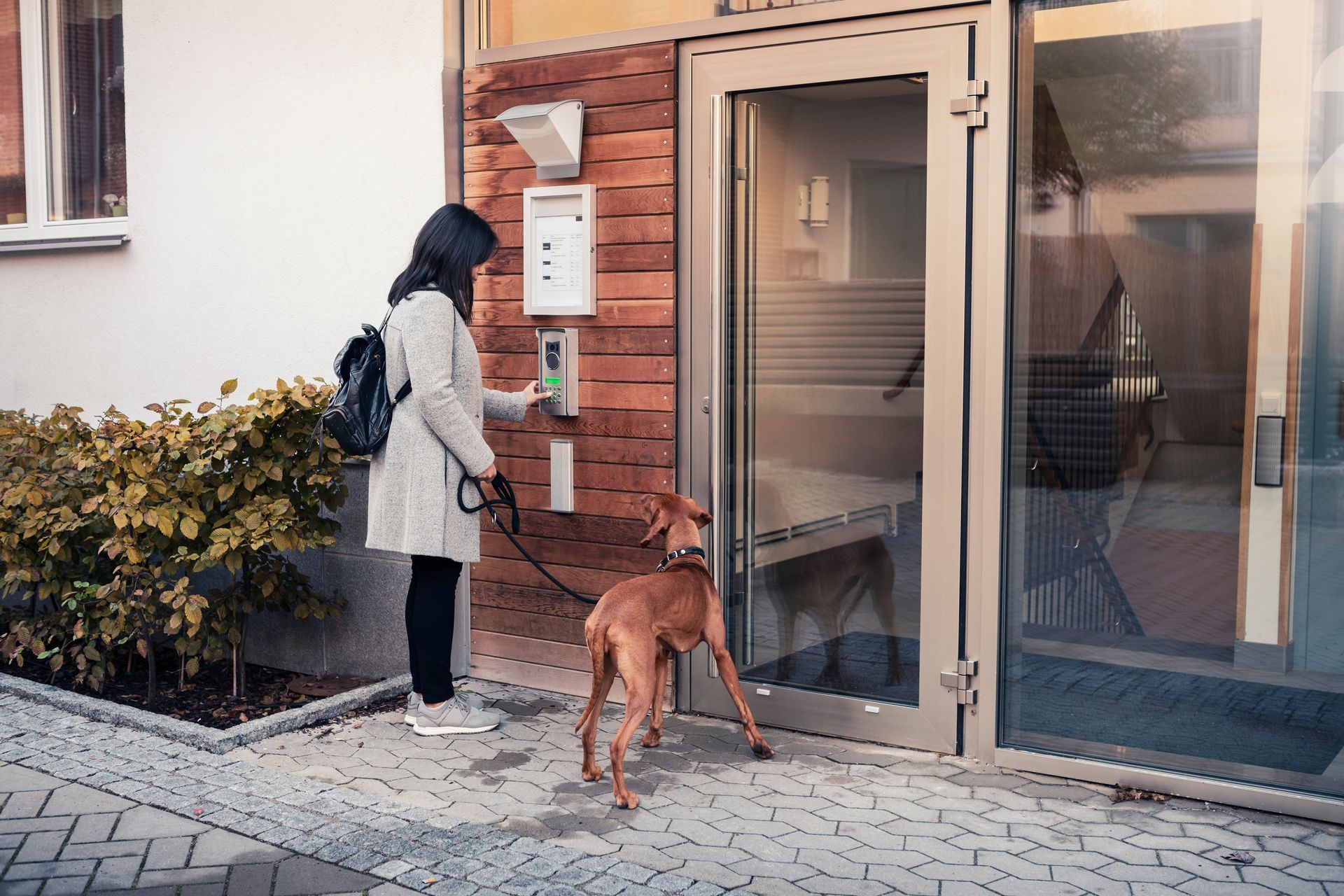 Woman with dog entering building through premium doubled glazed doors with keypad access panel. Woman with dog entering building through premium doubled glazed doors with keypad access panel.