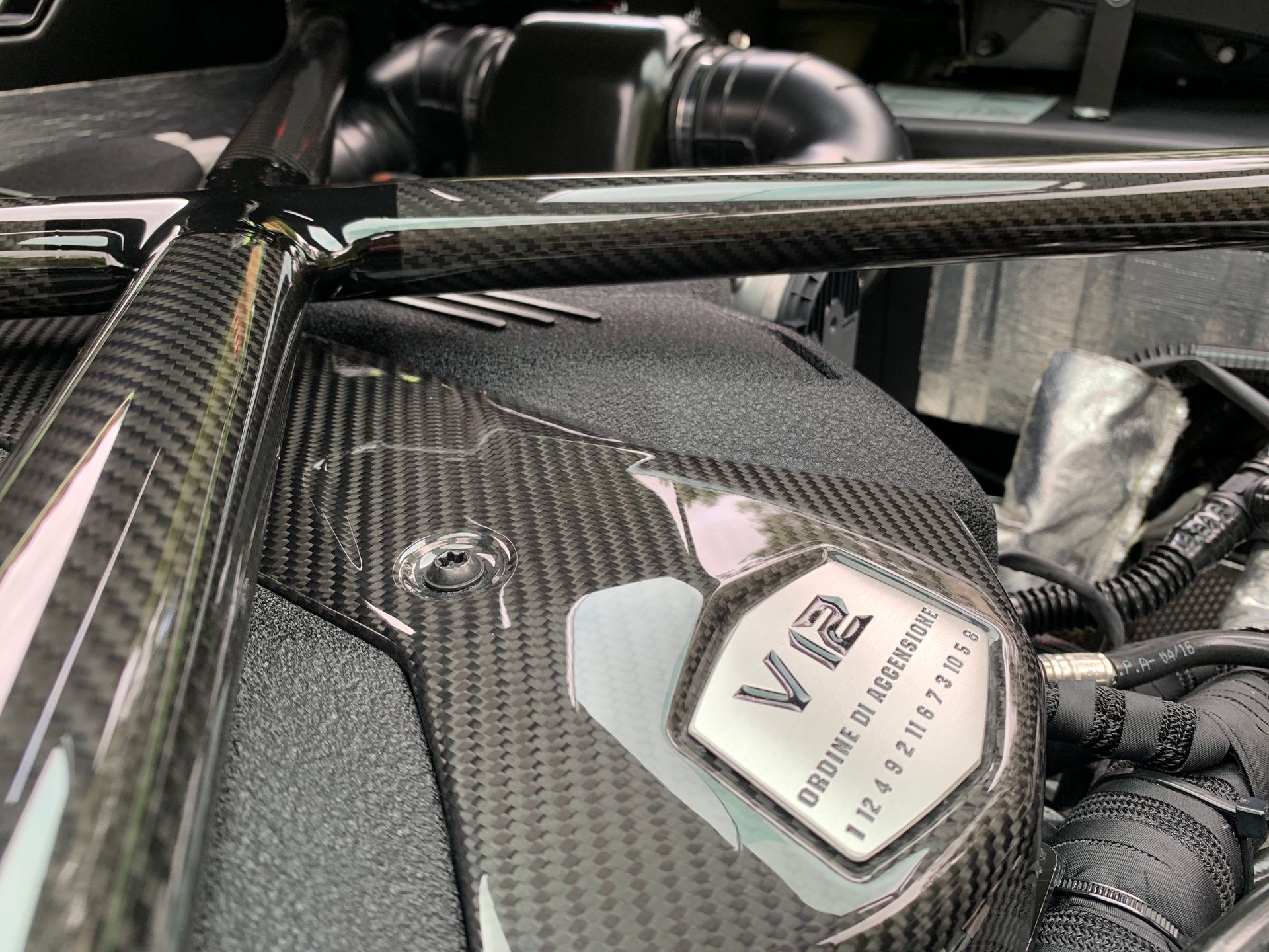 Carbon fiber engine bay with V12 emblem.