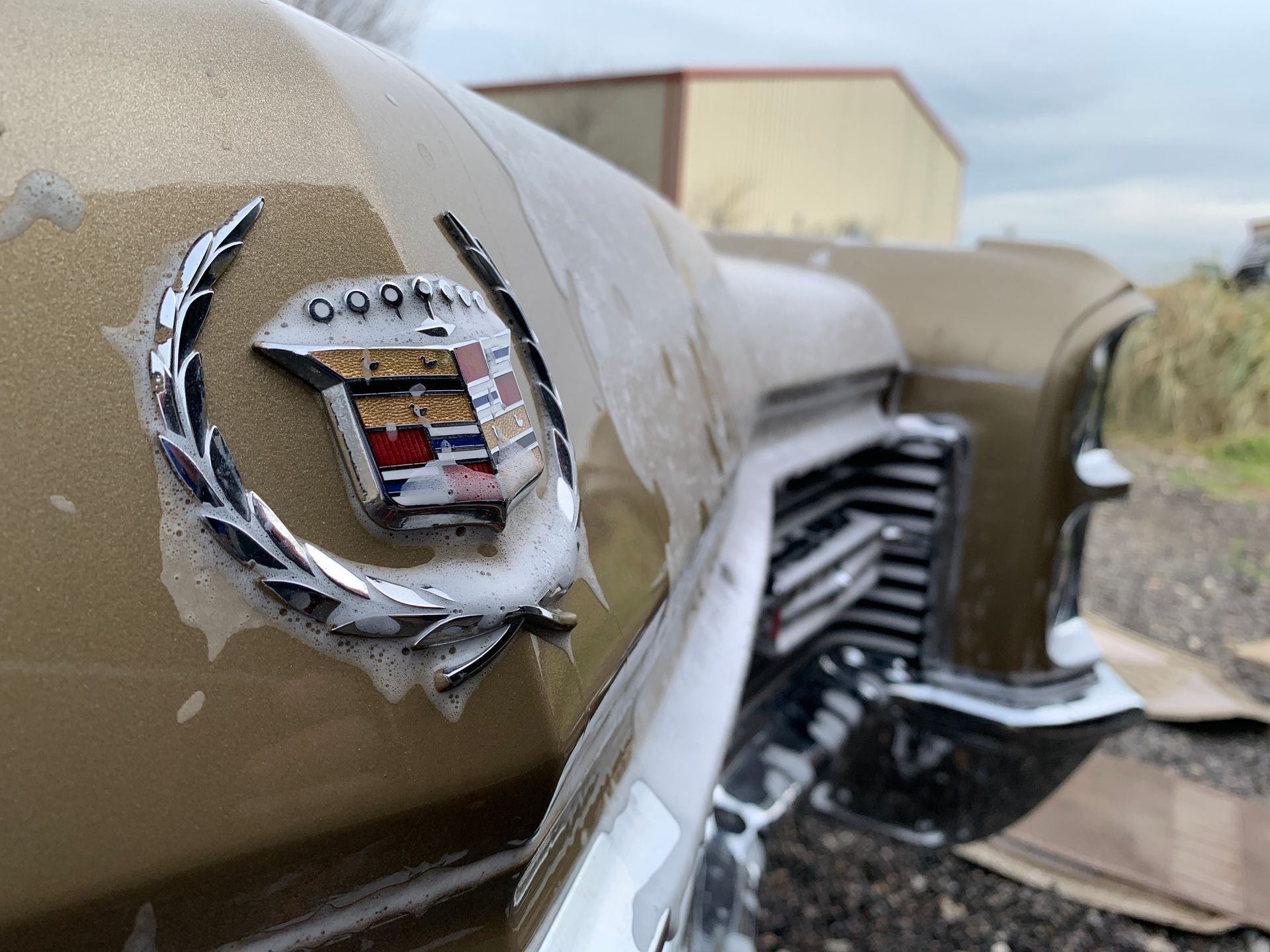 Gold Cadillac emblem with soap, outdoors.