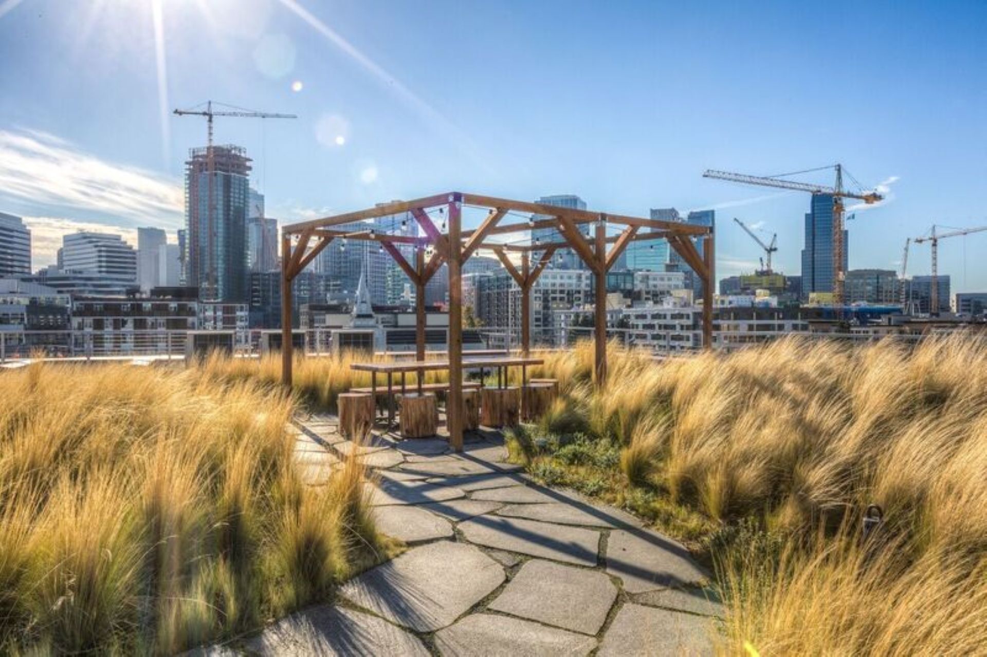 Image of Rooftop Decks with City Views