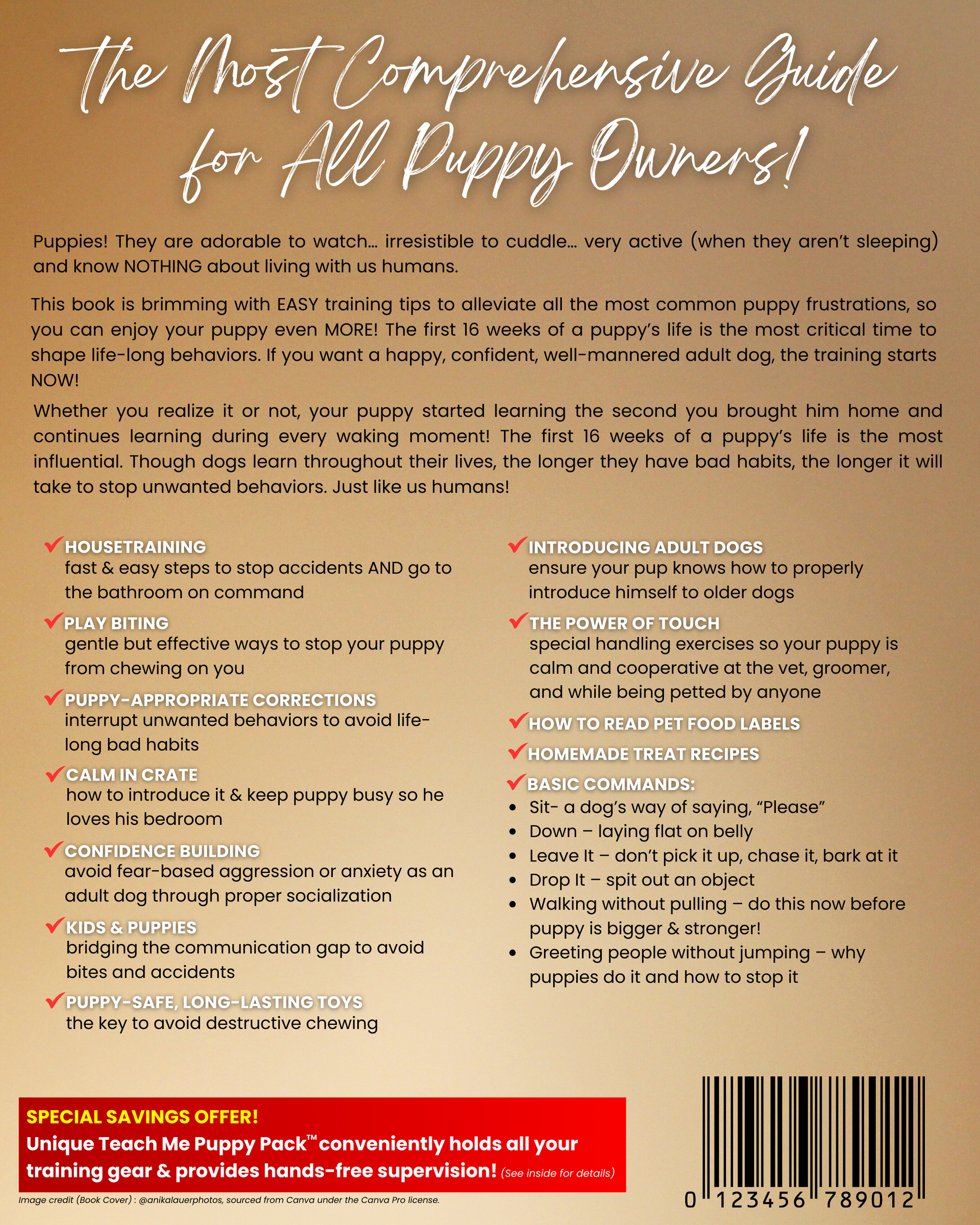 Complete Guide To Puppy Training