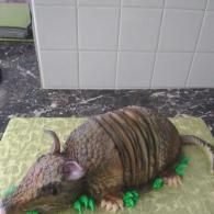 Small armadillo figurine on a green towel, with a tiled wall and countertop behind it.