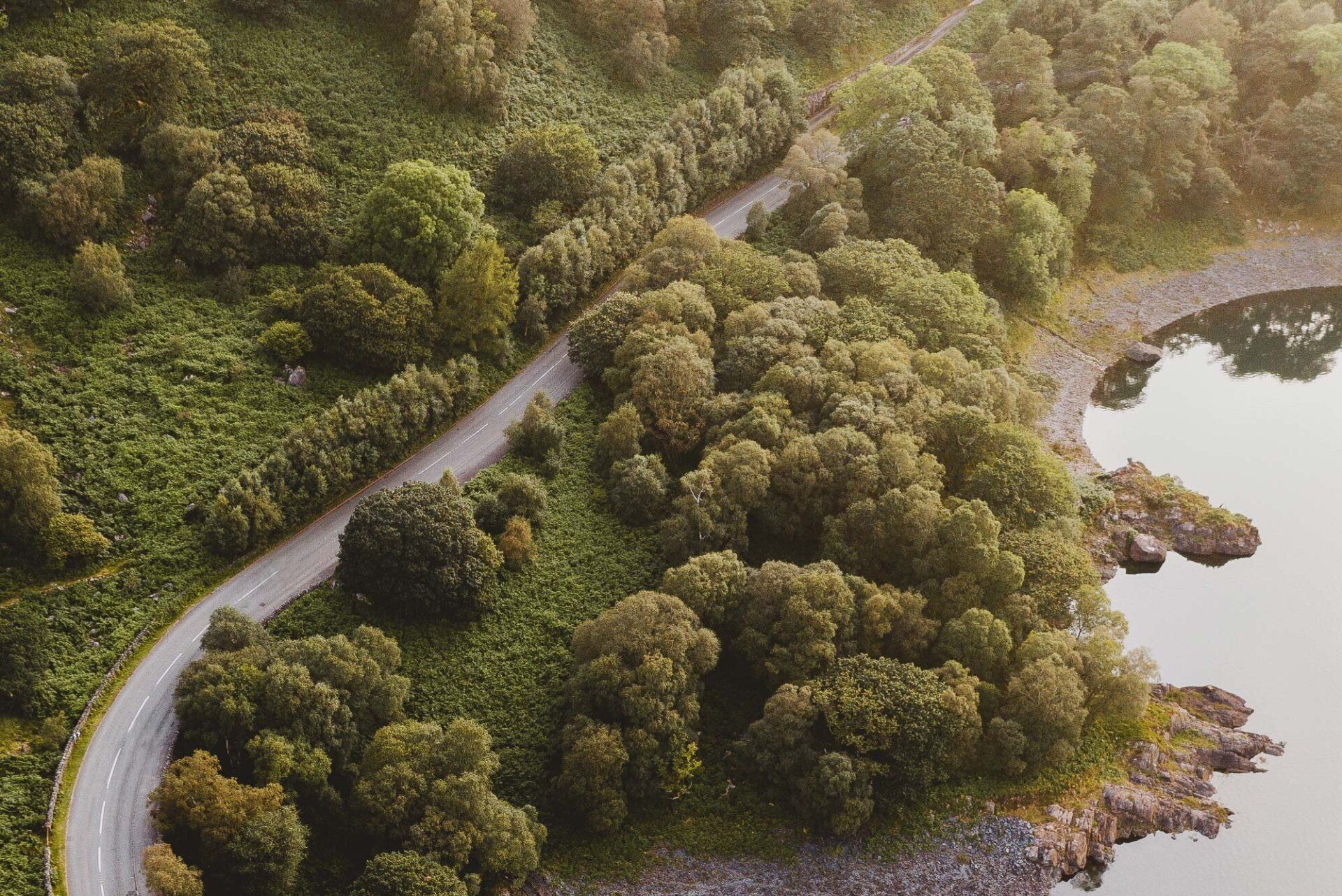 An aerial view of a road surrounded by trees and a lake.