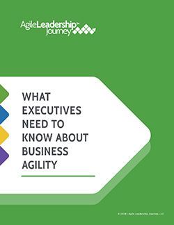 A screenshot of the ALJ ebook cover of What Executives Need to Know About Business Agility