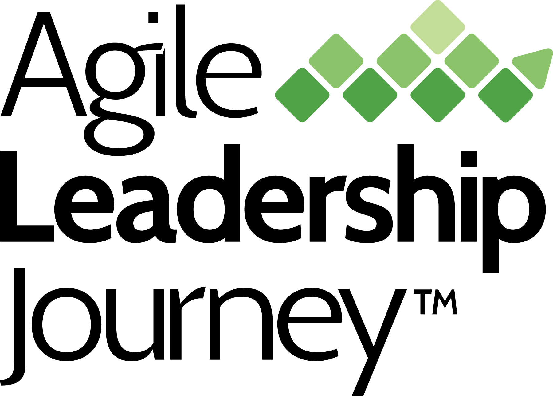 Leadership Training Programs | Agile Leadership Journey