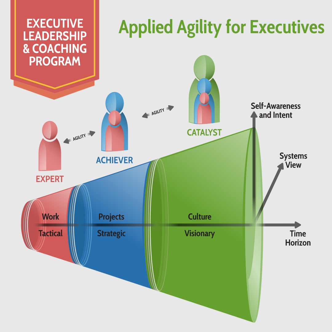 A diagram of the executive leadership and coaching program