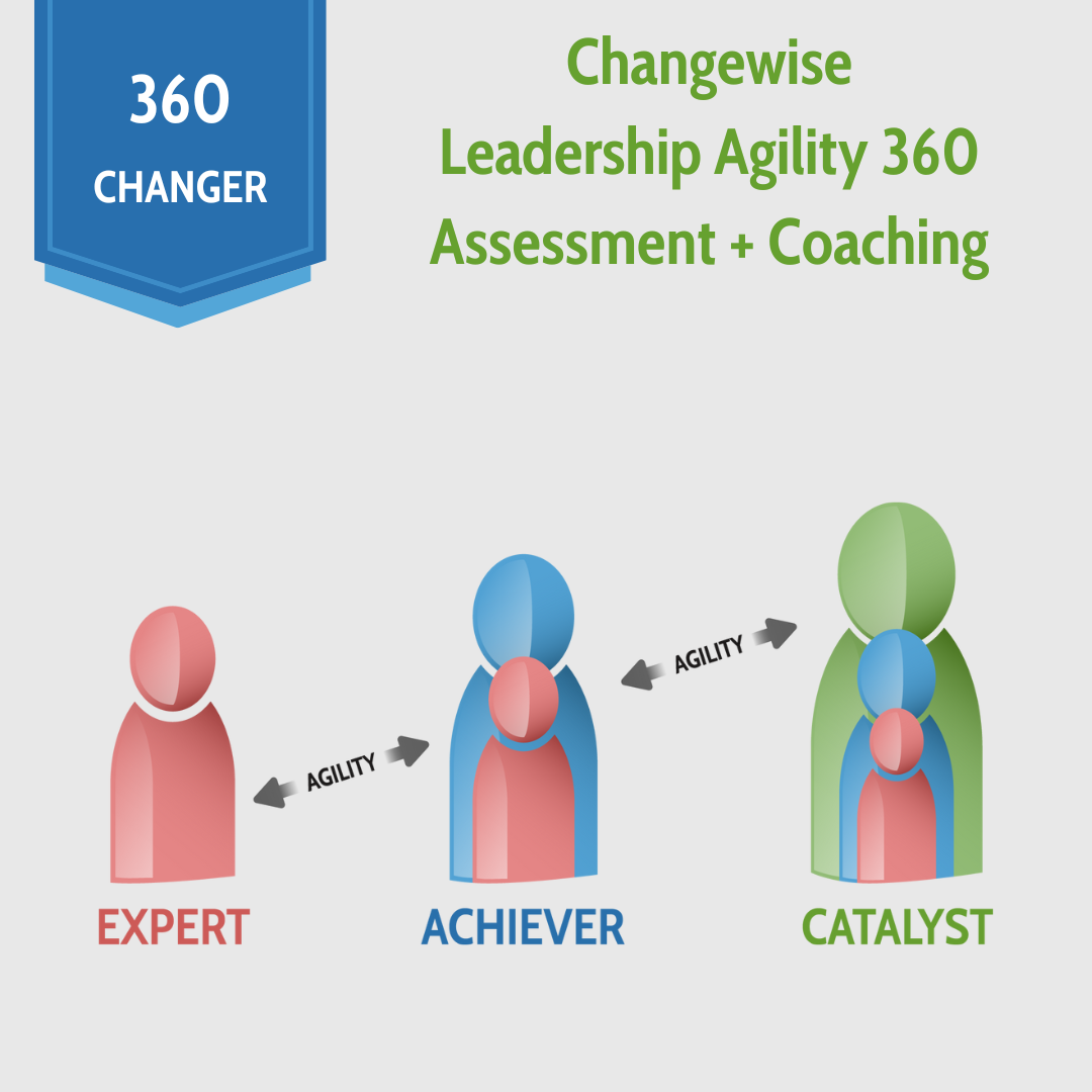 A 360 degree leadership agility 360 assessment and coaching