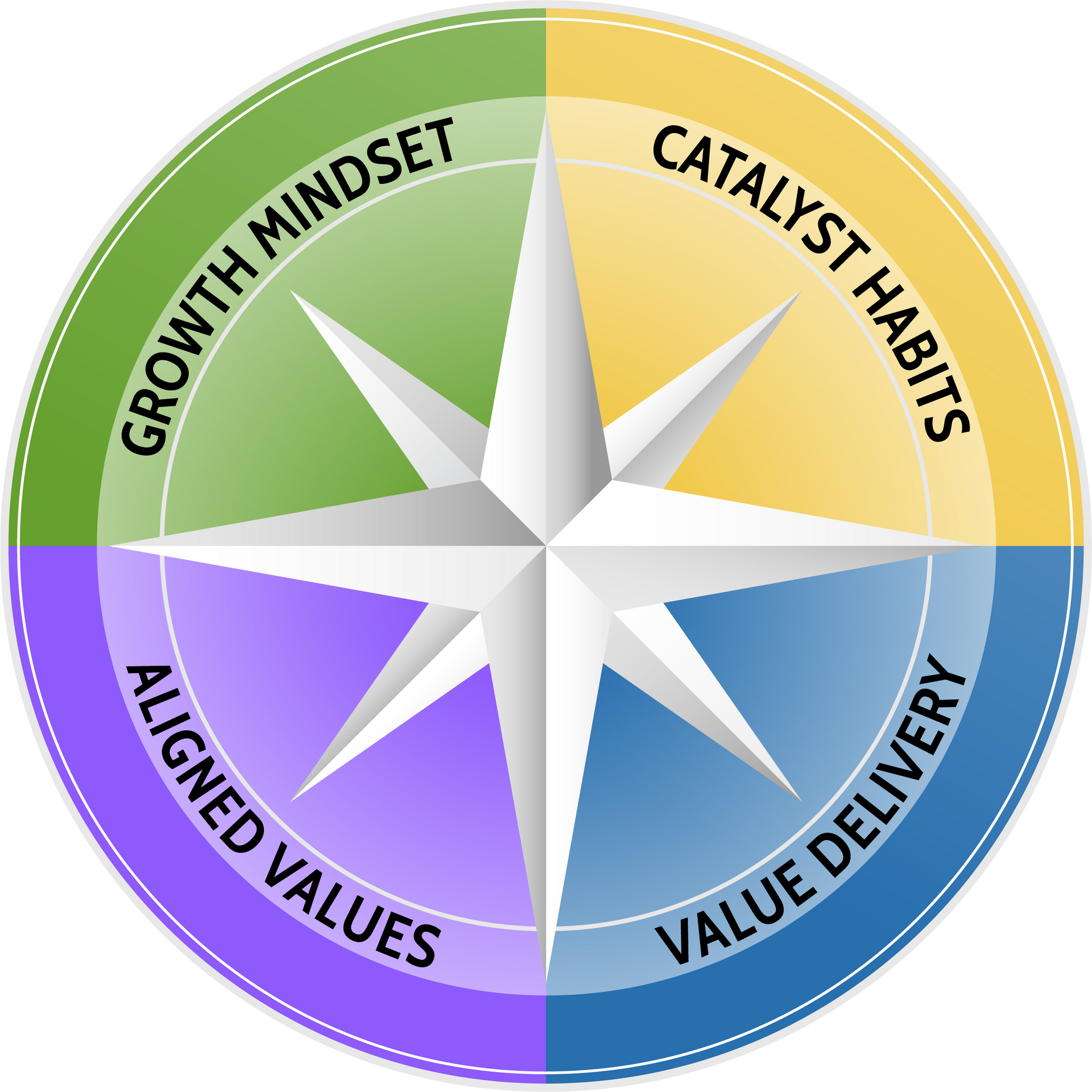 Agile Leadership Journey's compass subcategory view focusing on the orientations of the compass. The inner part of the compass is divided into quarters with the words growth mindset and catalyst habits in the top two quarters and aligned values and value delivery in the bottom quarters.
