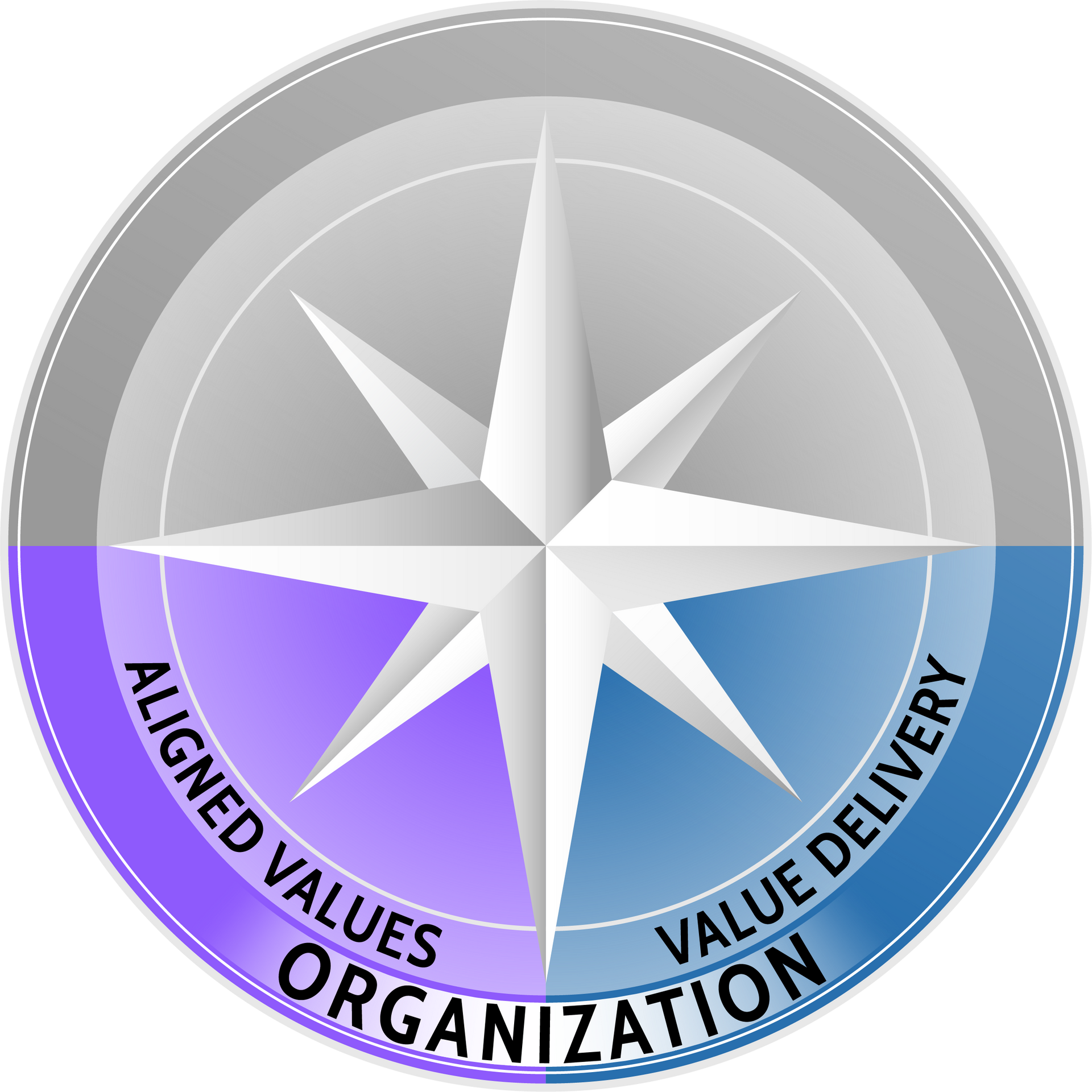 the bottom half of the leadership journey compass in color with the word organization below the words aligned values and value delivery; the top half of the compass is in grey scale without words
