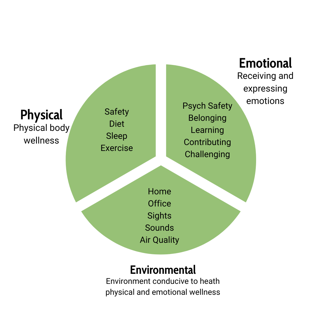 A pie chart with physical, emotional, and environmental as the  three labels on the pieces.