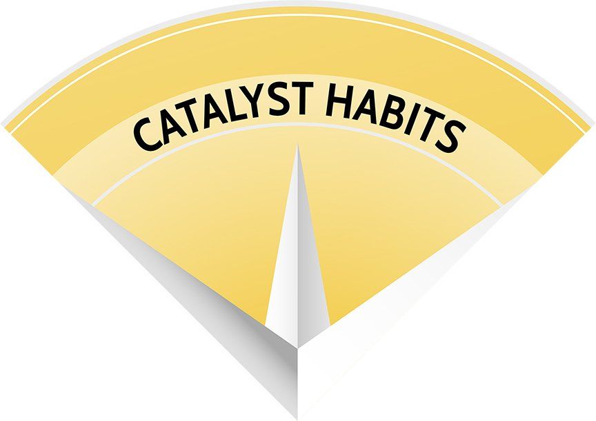 Agile Leadership Journey's compass quarter-view with the words catalyst habits