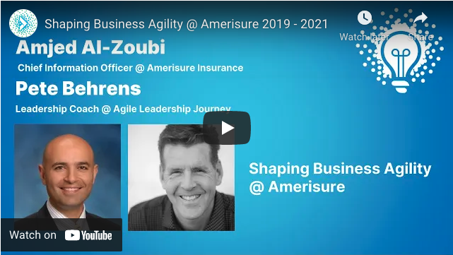 A screenshot of the Shaping Business Agility at Amerisure CaseStudy video from YouTube.
