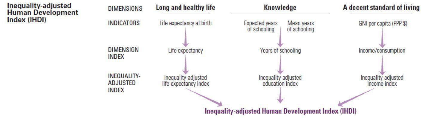 Graphic showing factors that contribute to the United Nations Inequality-adjusted Human Development Index. These include life expectancy, education, and standard of living.