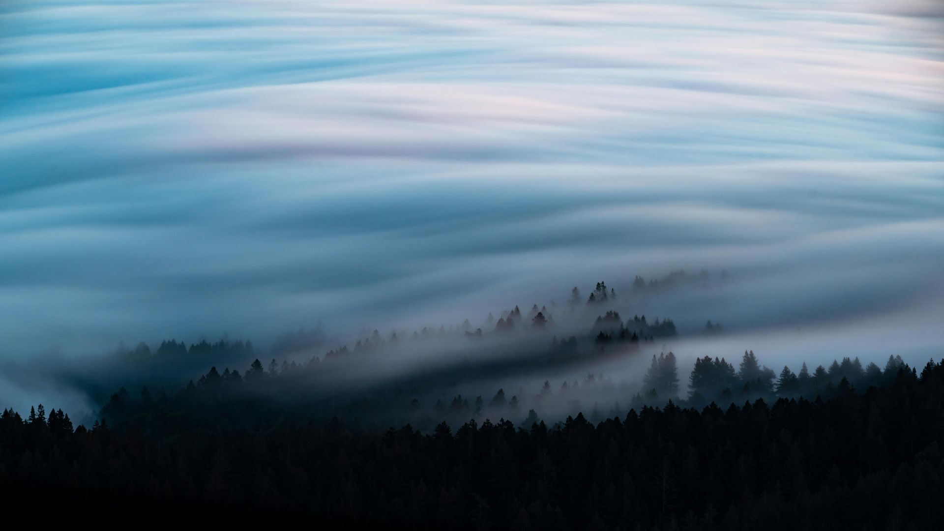 Forest silhouette emerging from a sea of fog, beneath a pale blue and white sky.