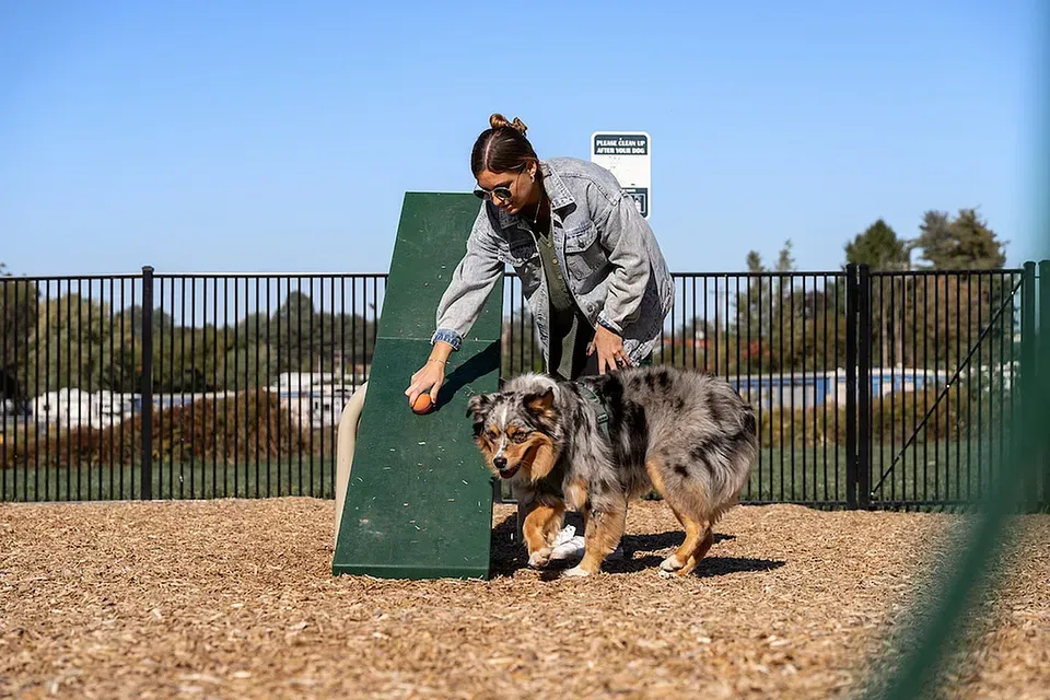 Woman trains a speckled dog at a dog park, using a treat near an agility ramp.