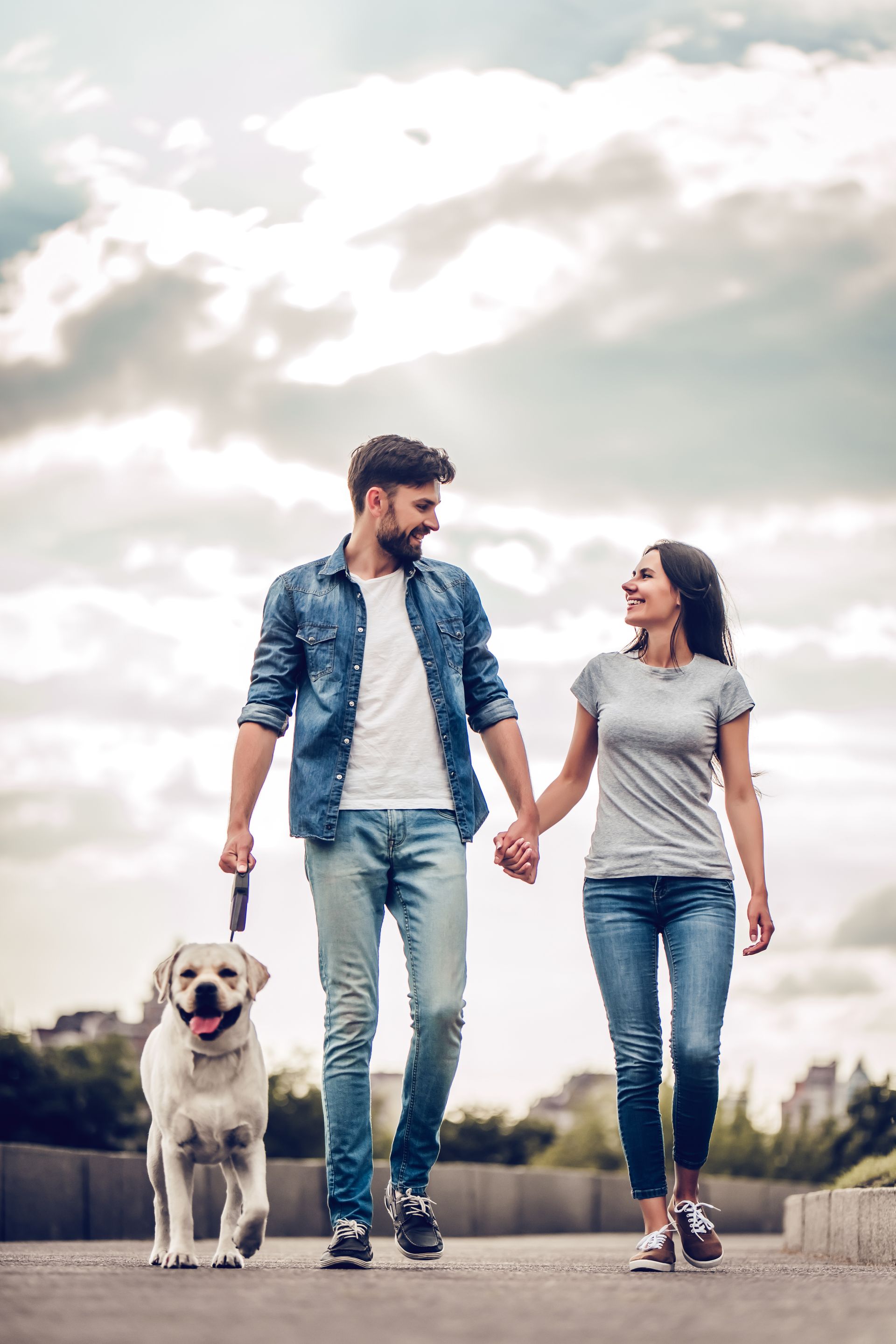 Couple walking hand-in-hand with a yellow Labrador, smiling, outdoors.