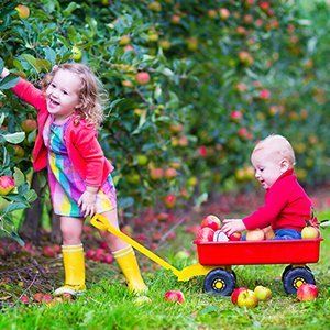 girl with baby picking apples