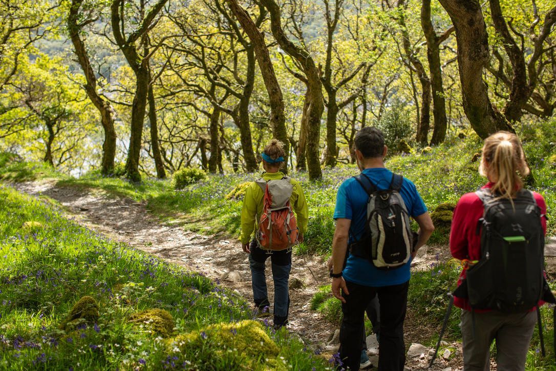 Runner heading into the distance in North Wales mountains