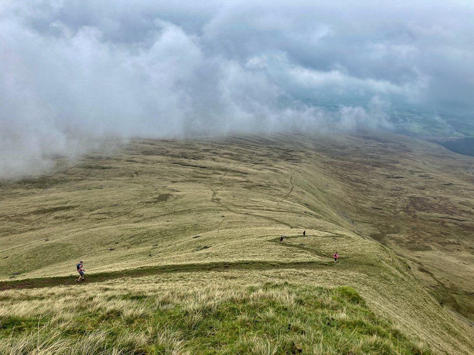 Runners zig zagging down a path