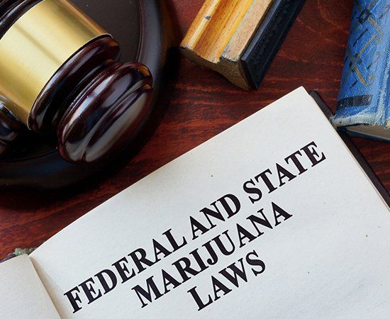 Federal And State Marijuana Law Book — Decatur, TX — Law Offices of Steven Williams