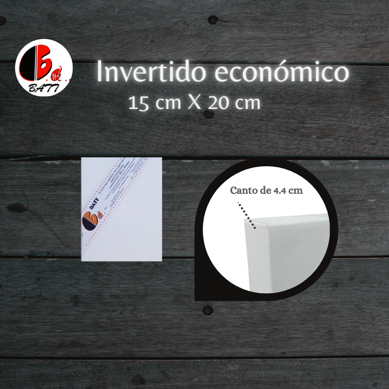 INVERTIDO ECONOMICO