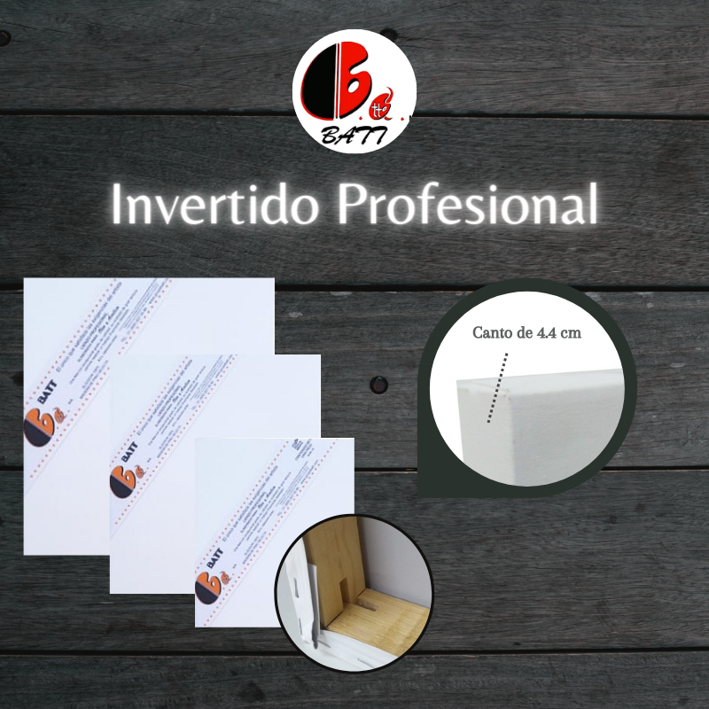 INVERTIDO PROFESIONAL