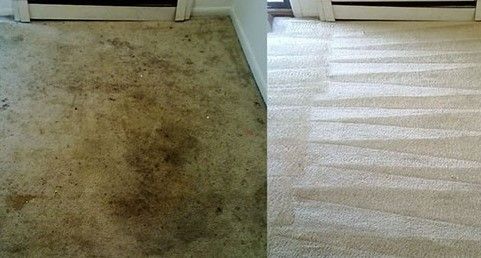 Before and after carpet cleaning: dirty, stained carpet next to a clean, light-colored carpet.