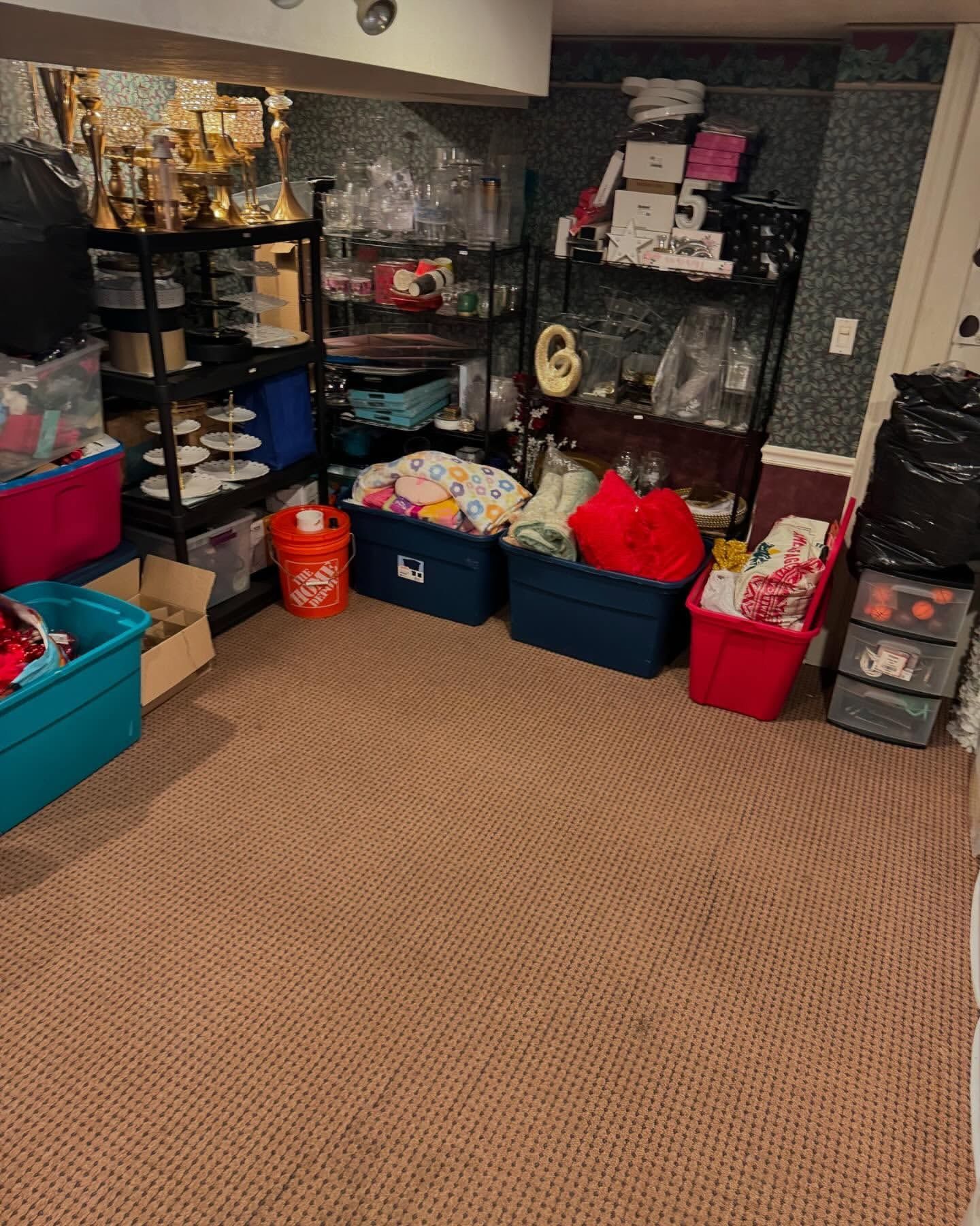 Basement storage area with shelves, bins, and various items on a brown carpeted floor.